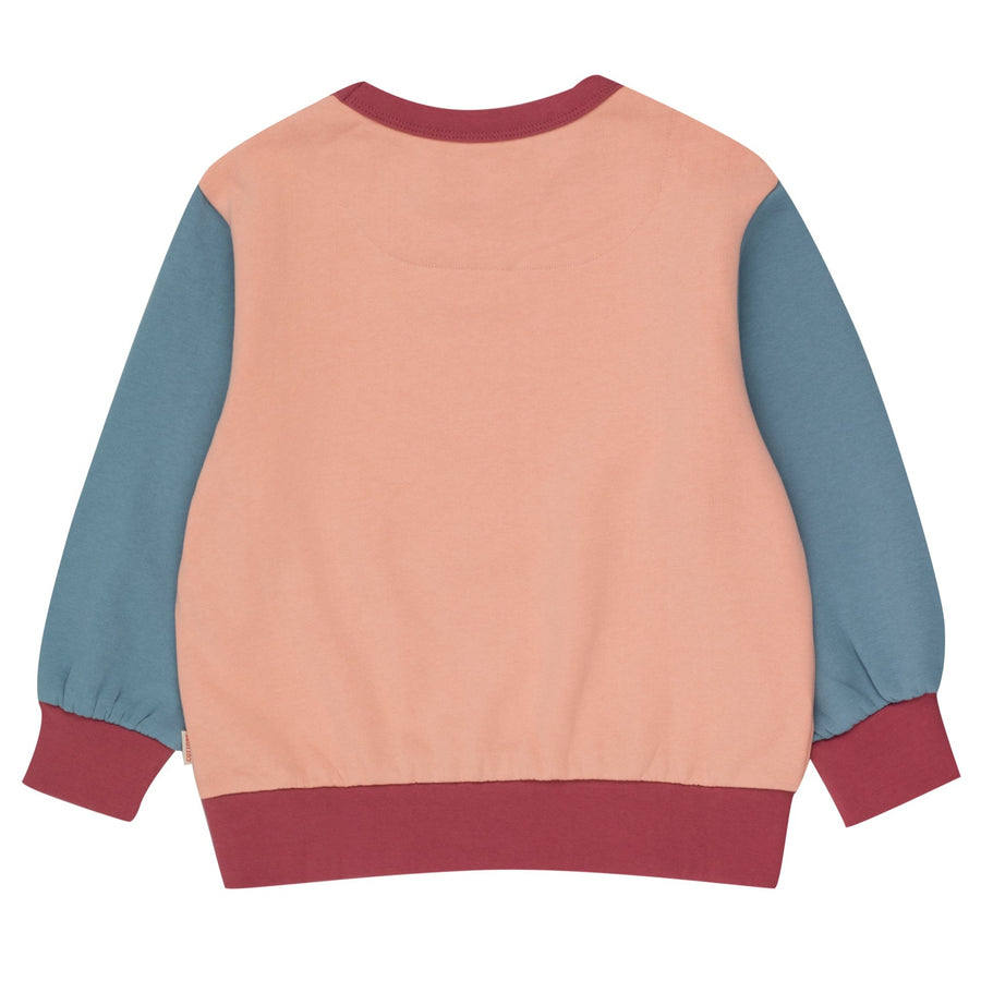 SOMMETS DE CHAMONIX SWEATSHIRT