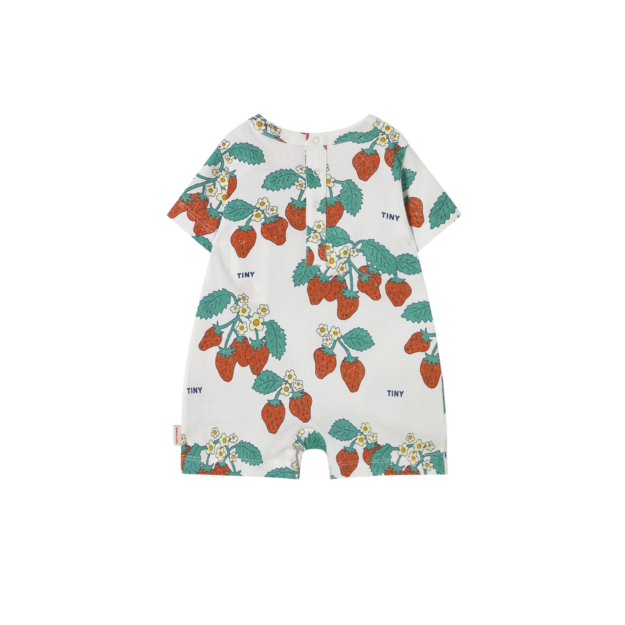STRAWBERRIES ONE-PIECE